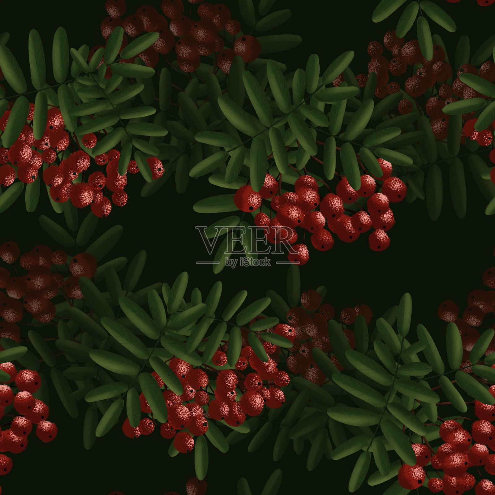 在深绿色背景上无缝图案的浆果莓树枝插画图片素材