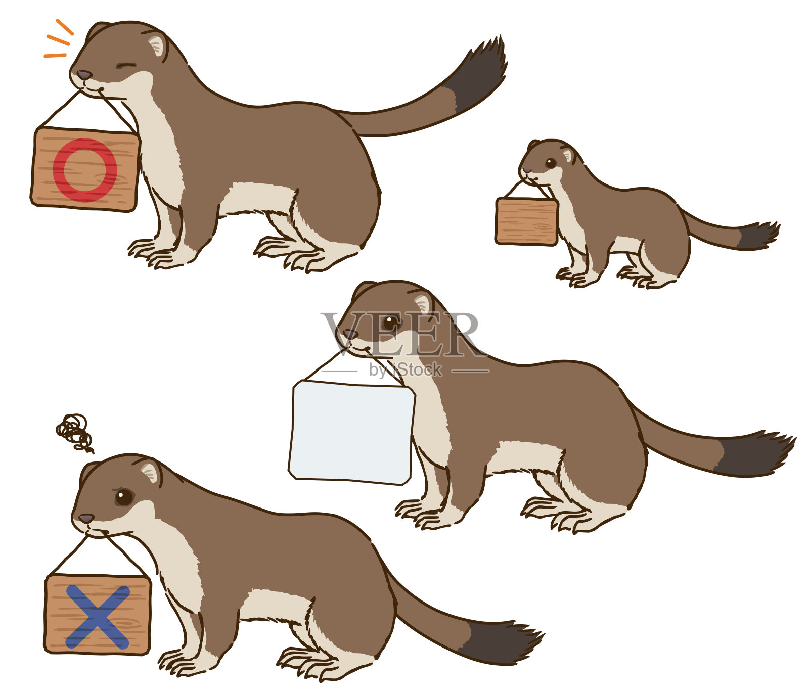 一只白鼬嘴里叼着一块牌子(夏天的皮毛)插画图片素材