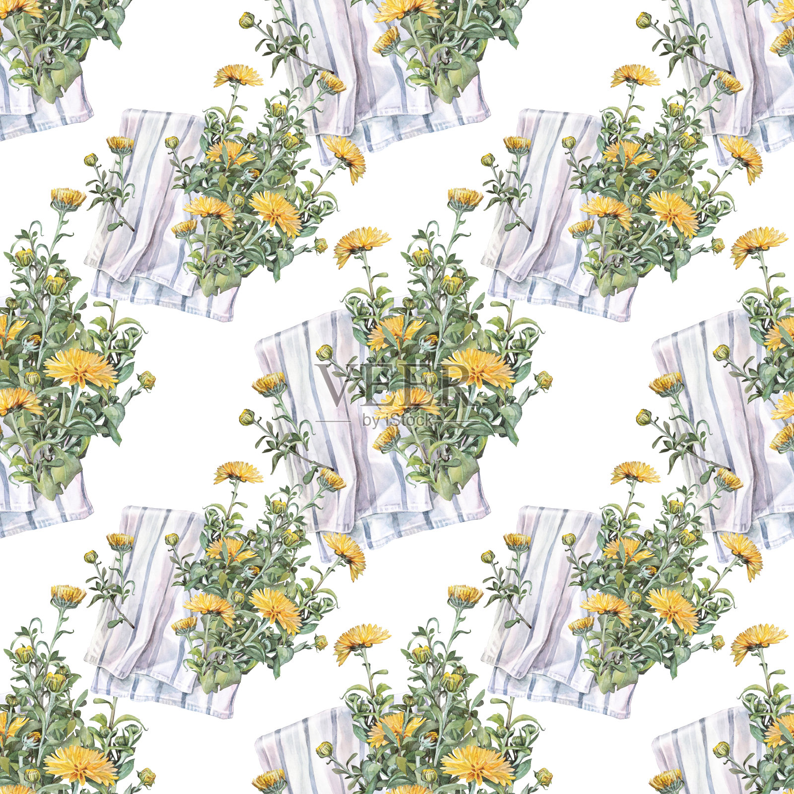 无缝图案水彩黄菊与绿叶和蓝色毛巾在白色的背景。复古手绘树枝与花和芽庆祝。墙纸包装的自然艺术插画图片素材