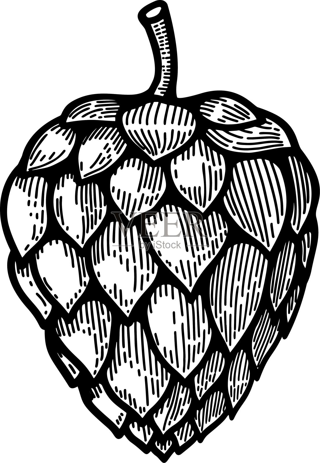 啤酒花商标标识设计元素设计元素图片