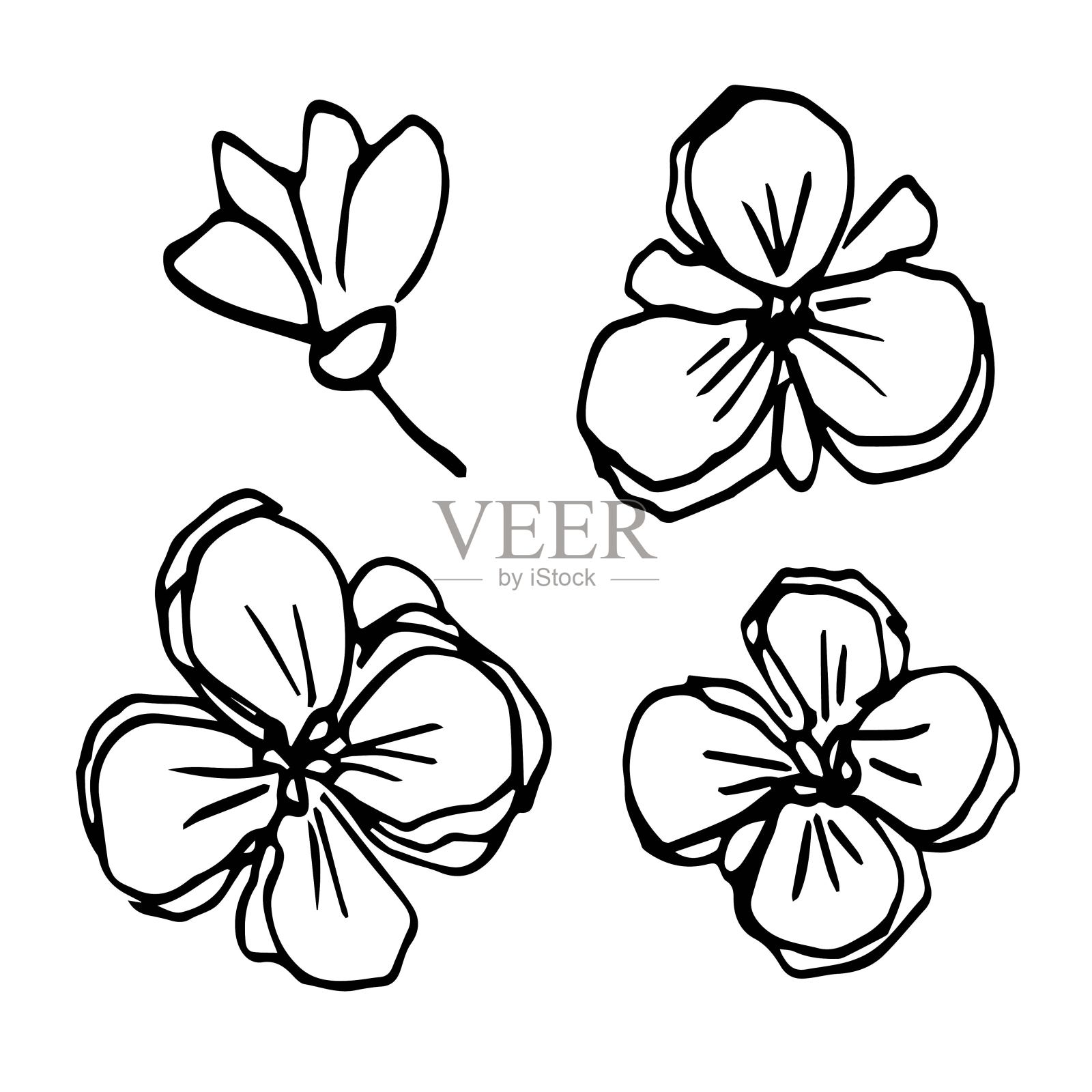 一套鲜花，花瓣娇嫩。自然和园林植被、花卉。简单的黑色轮廓矢量绘图。插画图片素材