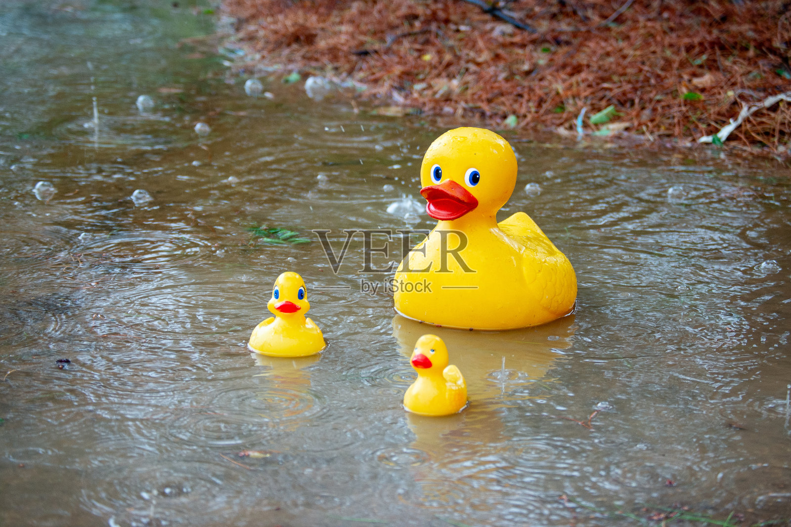雨天游戏照片摄影图片