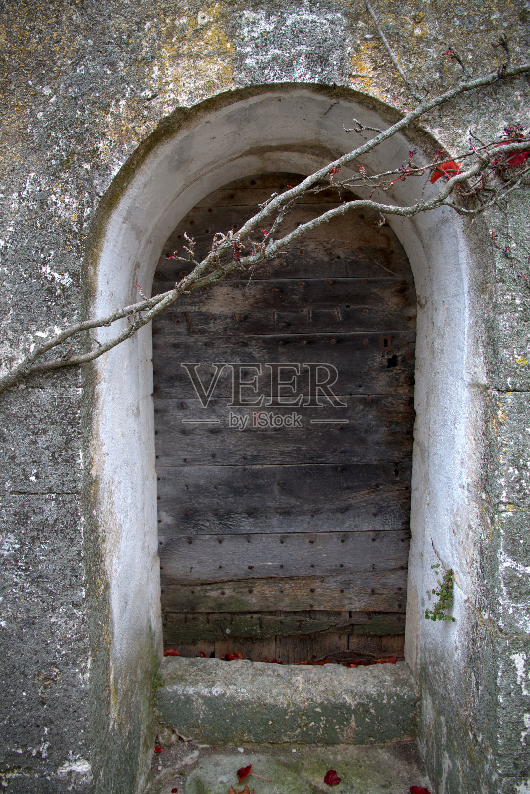 镶门和秋藤照片摄影图片