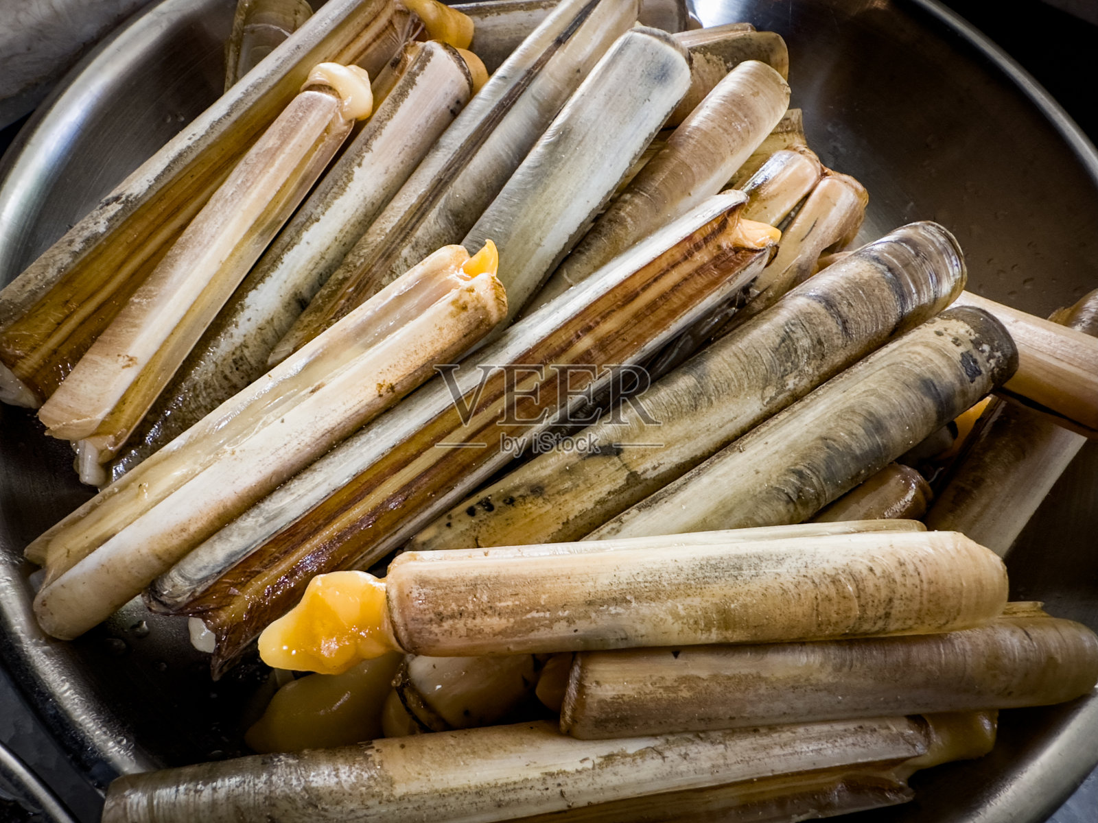 葡萄牙鱼市上新鲜的蛏子照片摄影图片