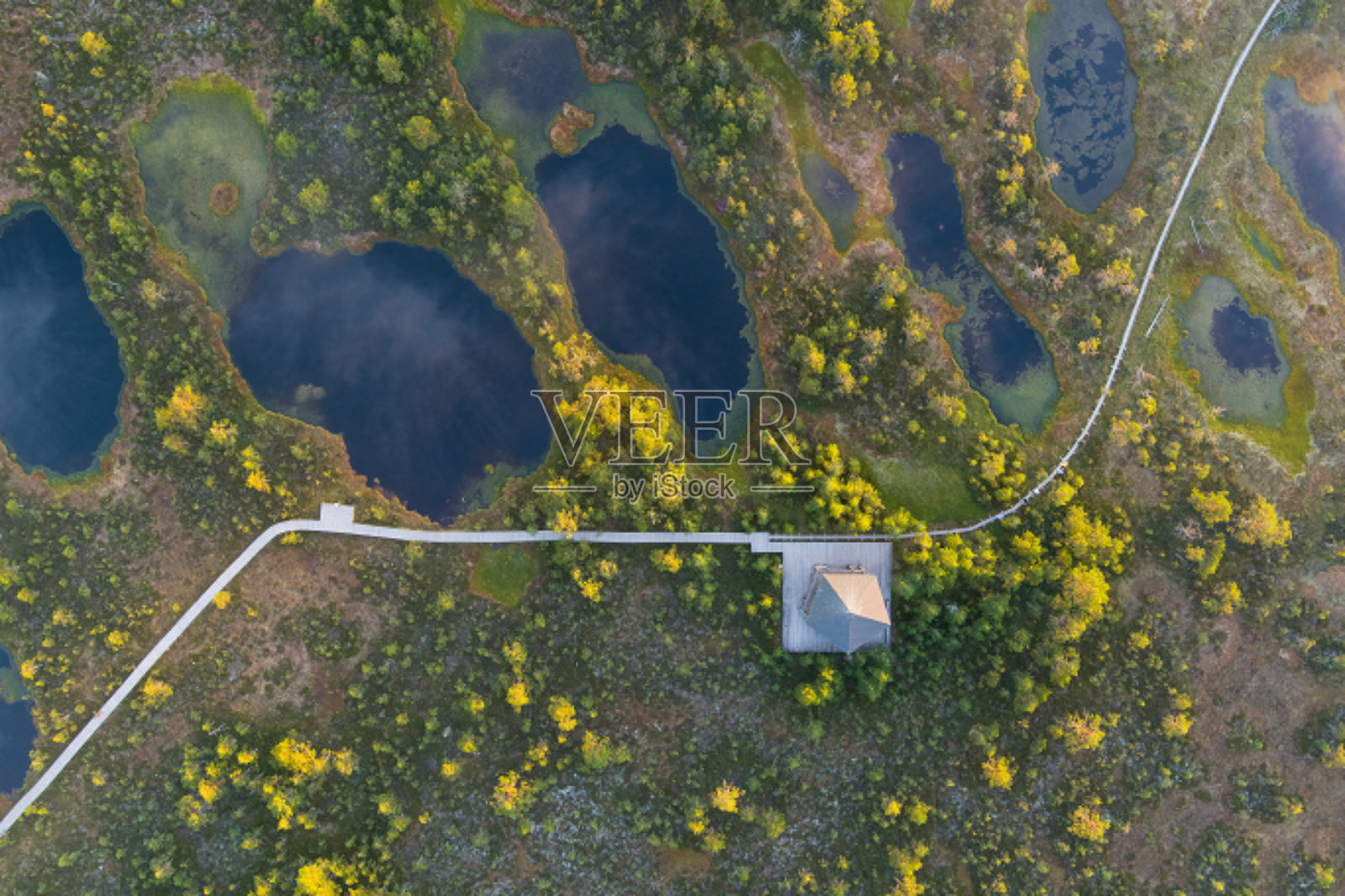 夏天Viru沼泽的瞭望塔，无人机拍摄的照片。照片摄影图片