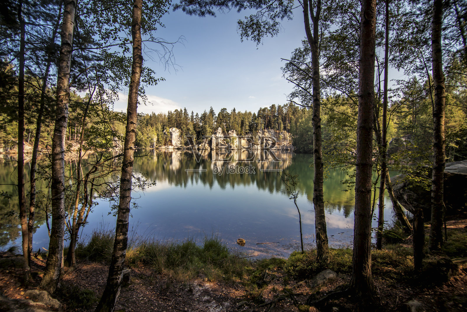 森林里美丽的湖。夏天的风景。照片摄影图片