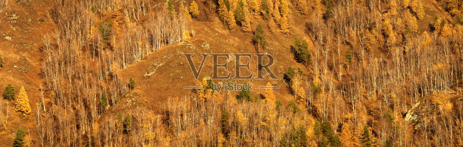 山景尽收秋坡，背景照片摄影图片