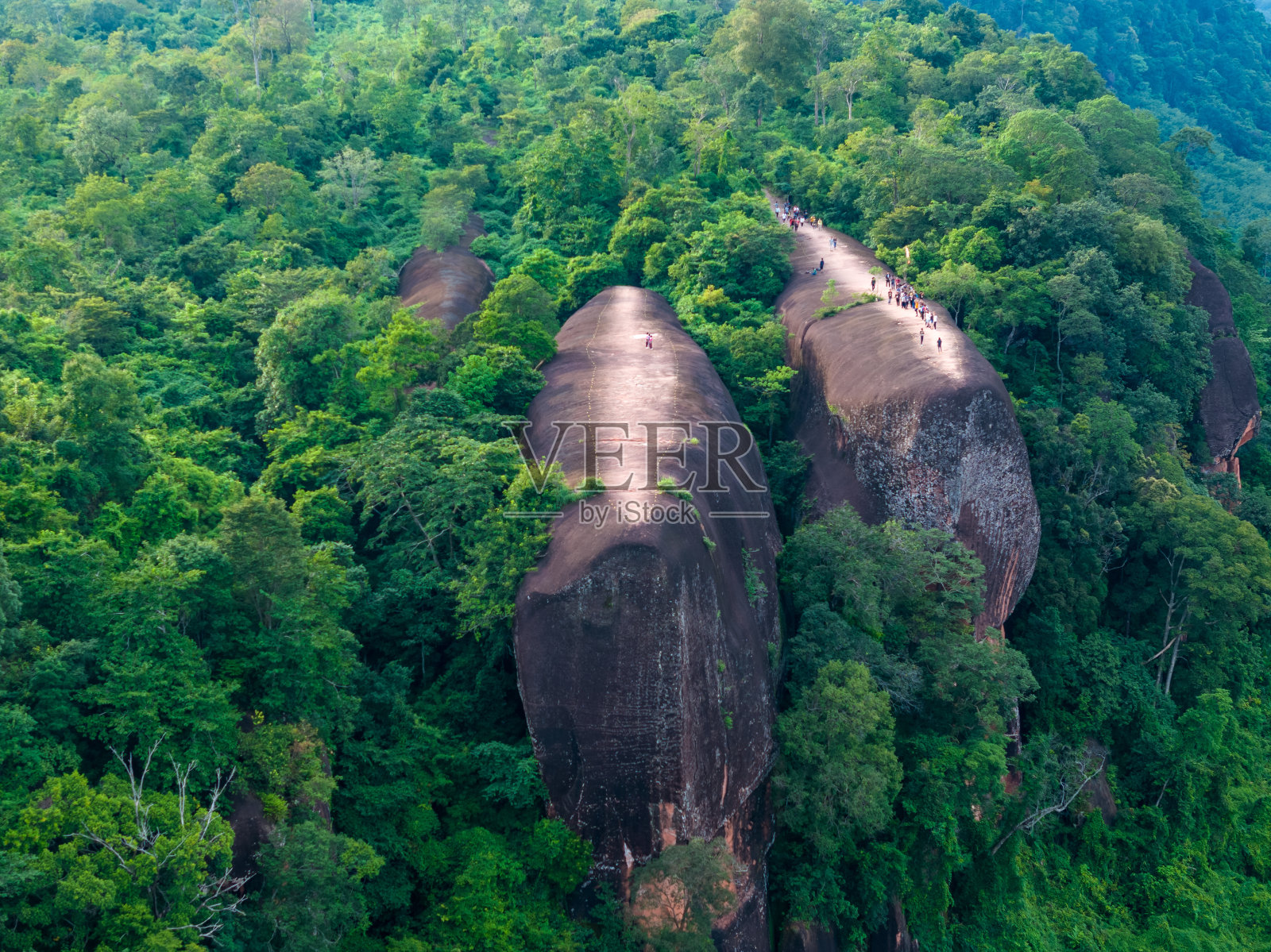 泰国Bueng Kan省的Phu Sing，有3块类似鲸鱼的岩石，被命名为(3- whale rocks)。照片摄影图片
