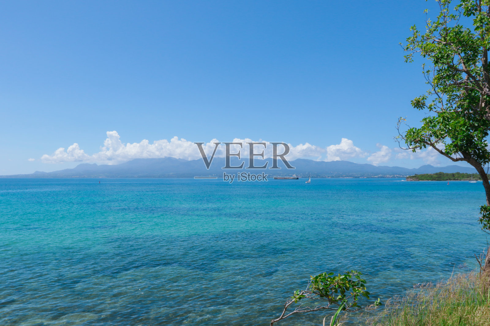 瓜德罗普岛的自然景观照片摄影图片