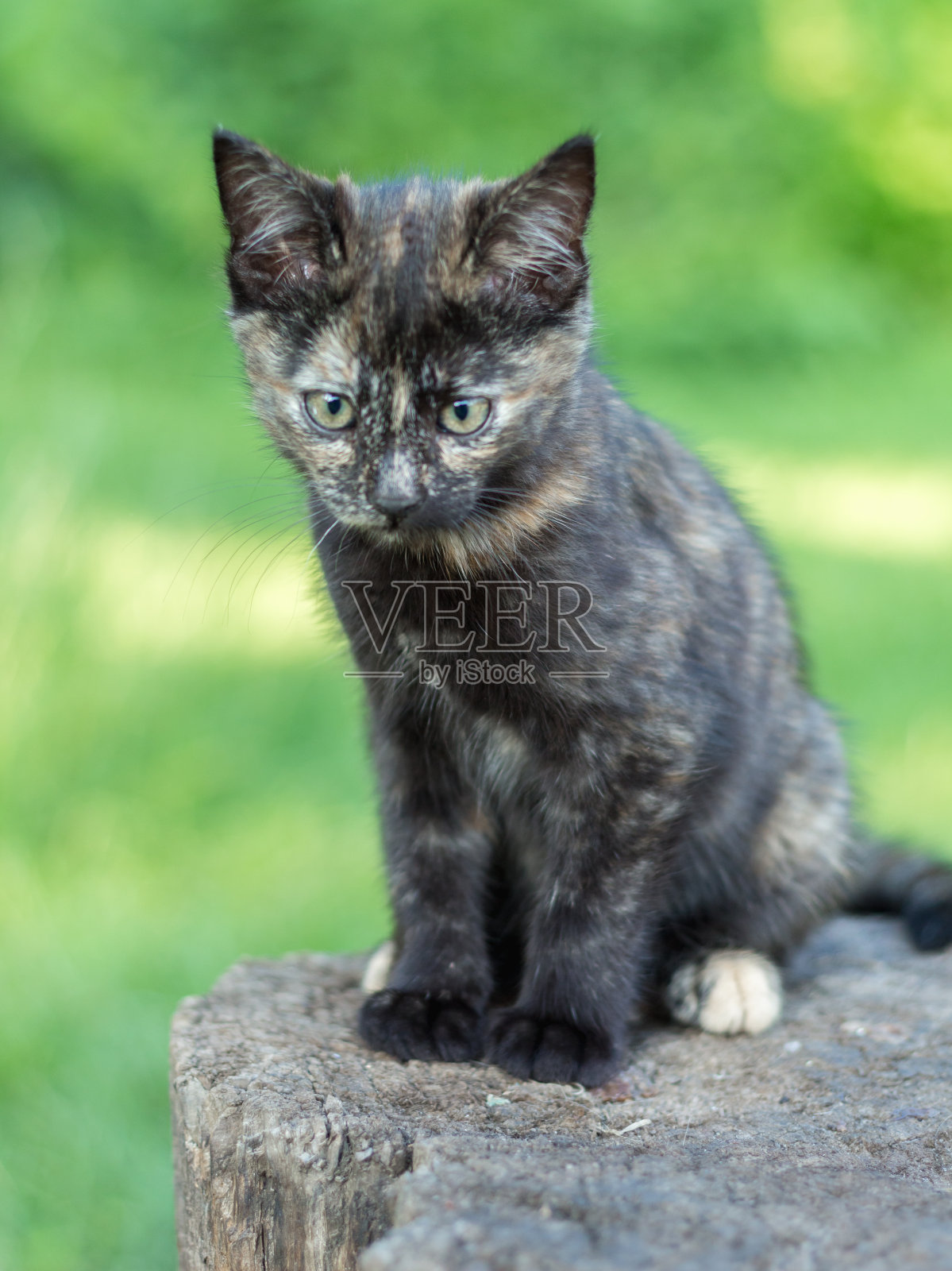 盒照片摄影图片