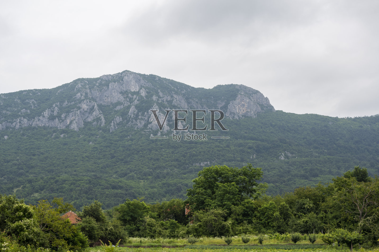 美丽的山景。从山顶俯瞰全景。照片摄影图片