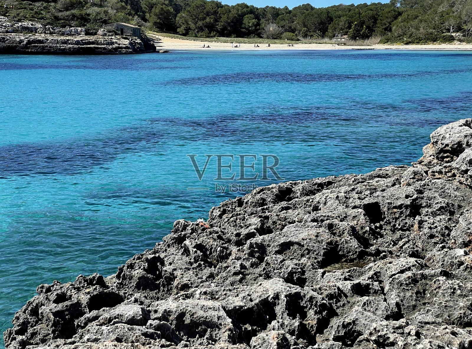 西班牙马略卡岛蒙德拉贡自然公园照片摄影图片