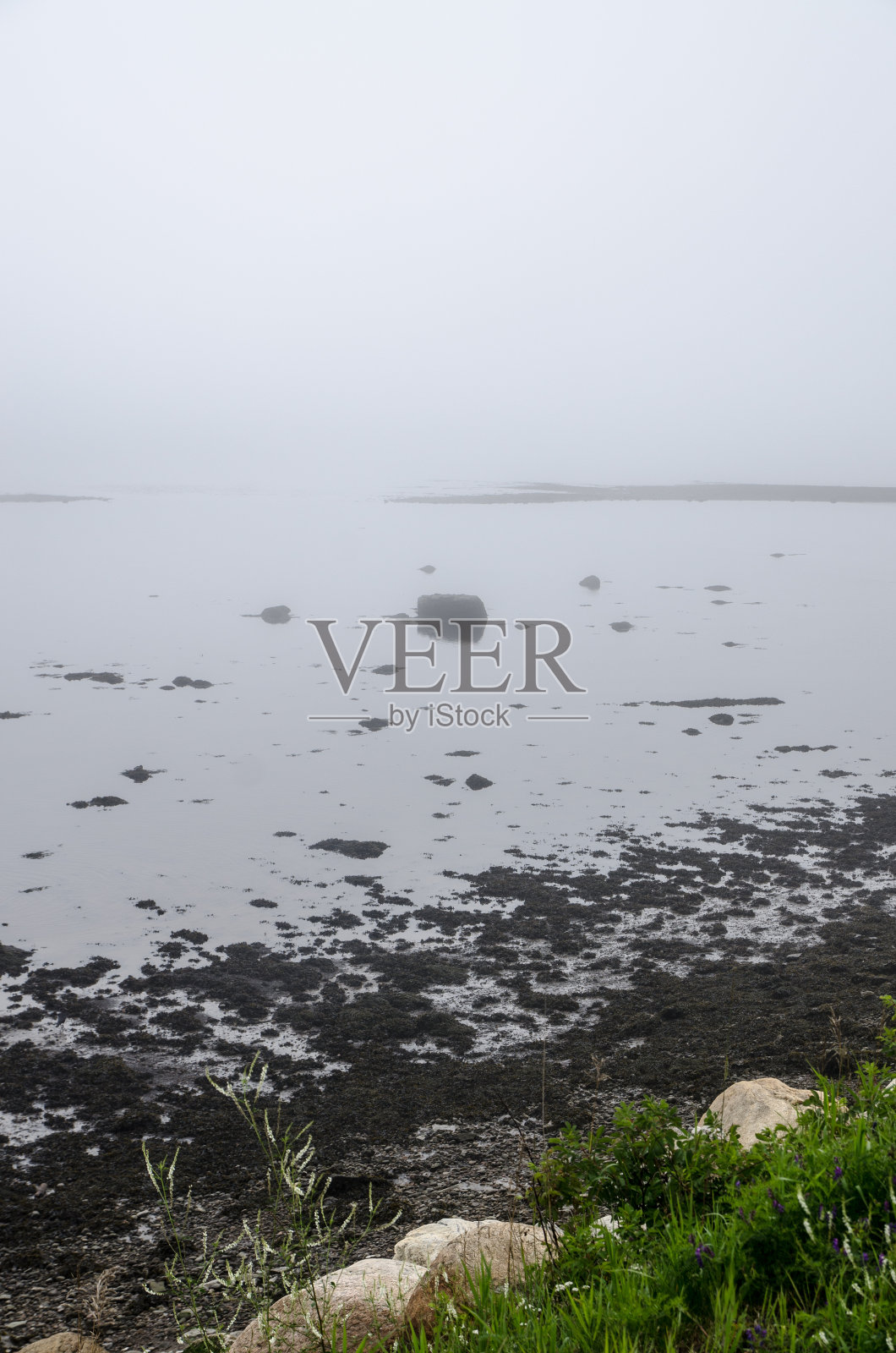 圣劳伦斯河上雾蒙蒙的早晨照片摄影图片