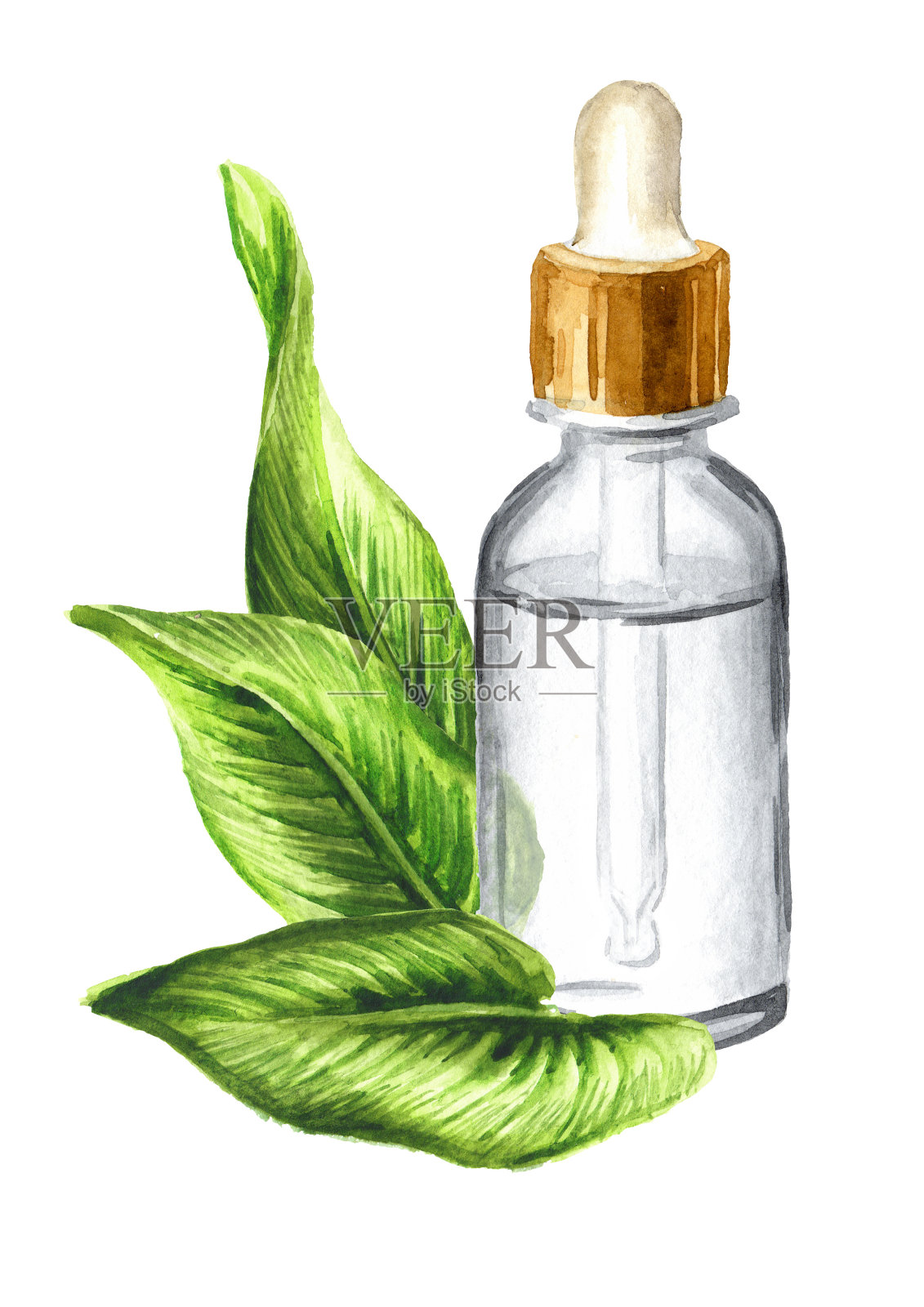 天然生物有机保湿精华。化妆品胶原蛋白产品容器。手绘水彩插图孤立的白色背景插画图片素材