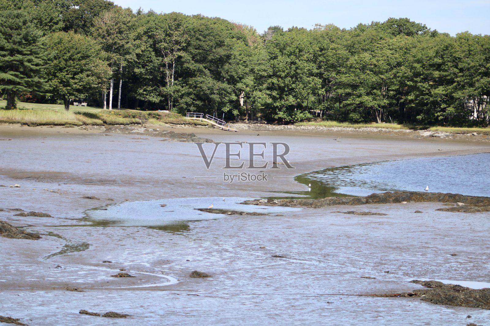 肯纳邦克波特照片摄影图片