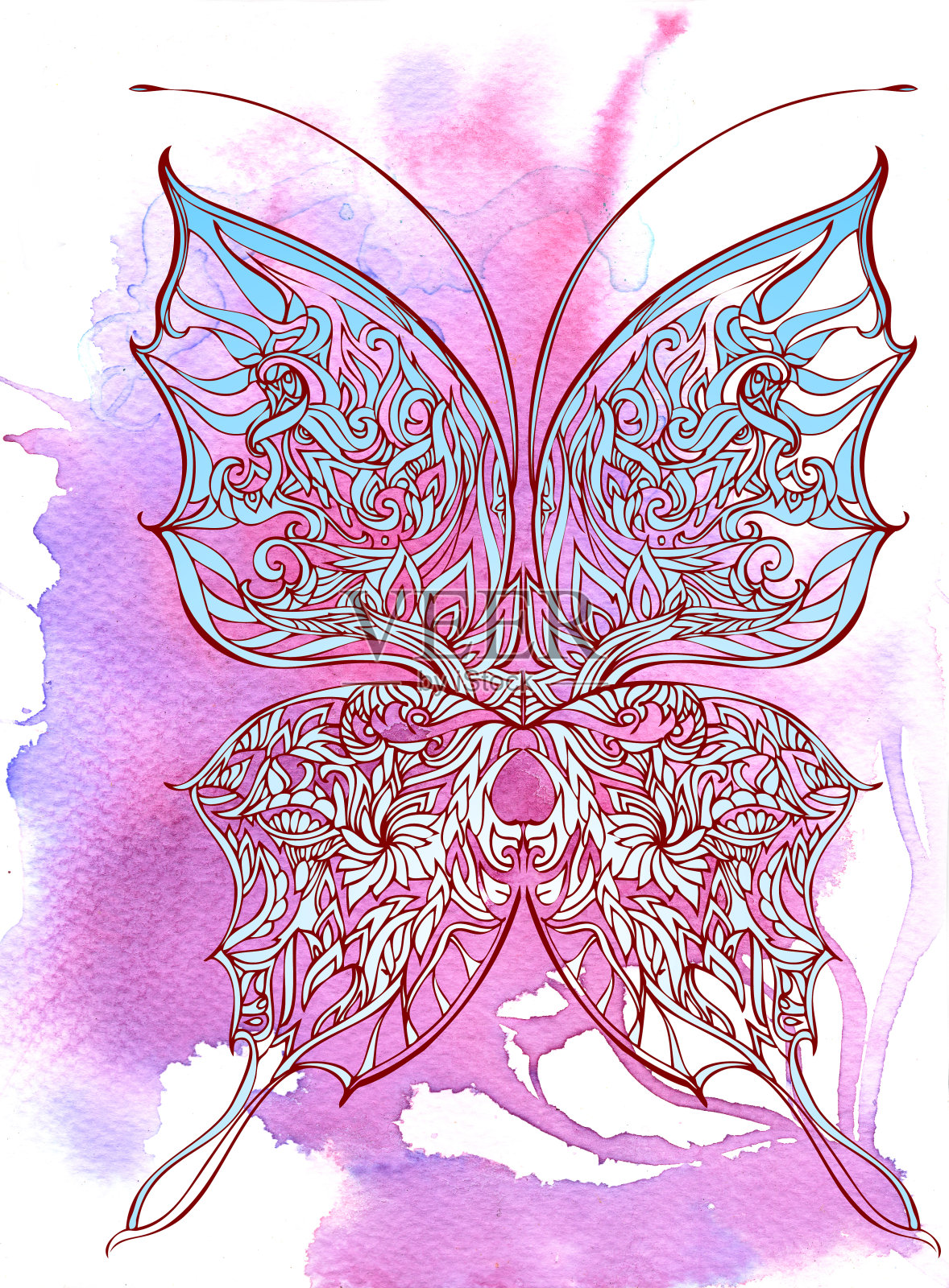 蝴蝶在水彩插画图片素材
