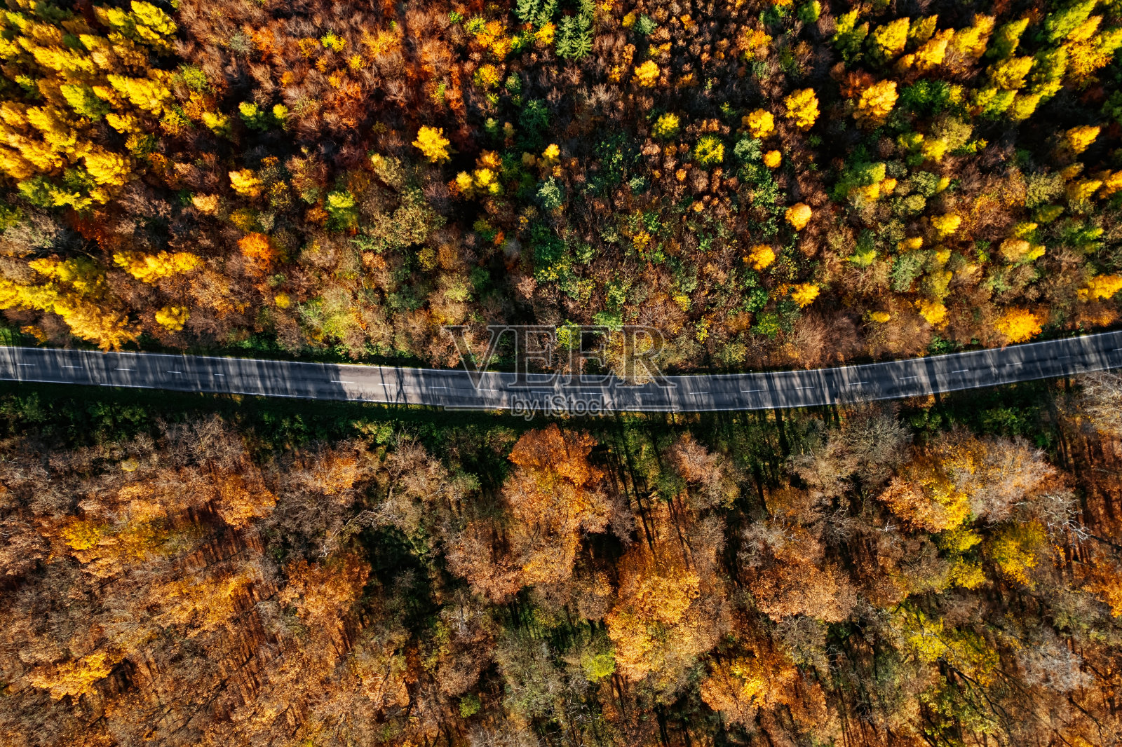 五彩秋林中蜿蜒山路的鸟瞰图照片摄影图片
