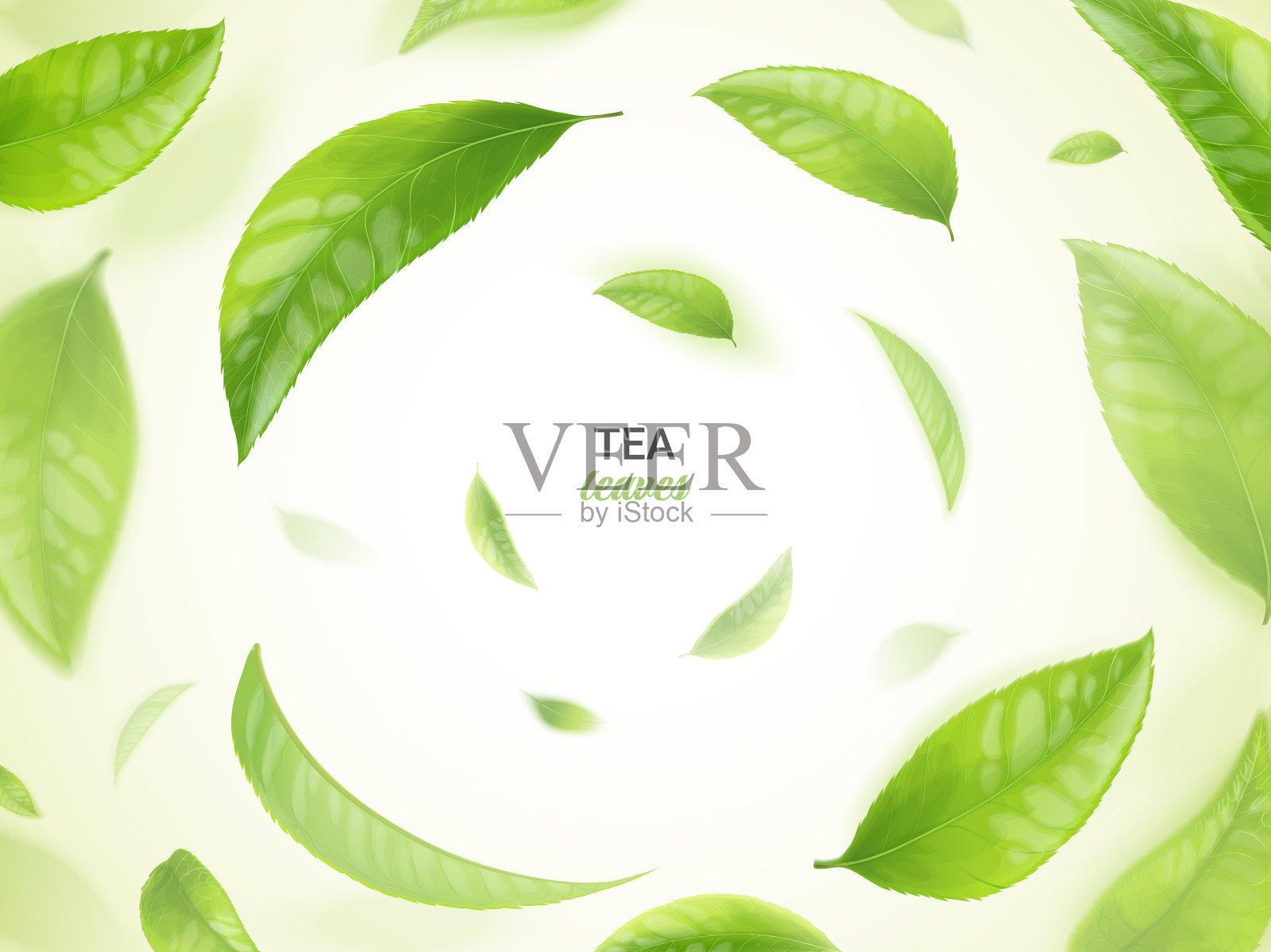 茶叶飞扬，绿叶飘飘插画图片素材