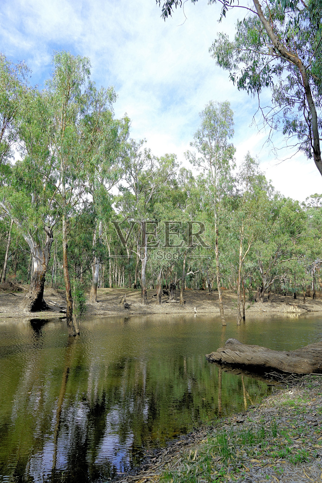 下莫伊拉，维多利亚州，澳大利亚照片摄影图片