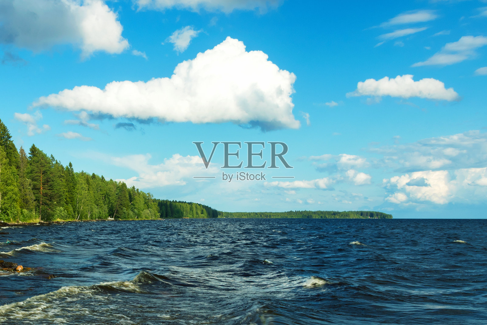 夏季奥涅加大湖的湖水映衬着蓝天白云。照片摄影图片