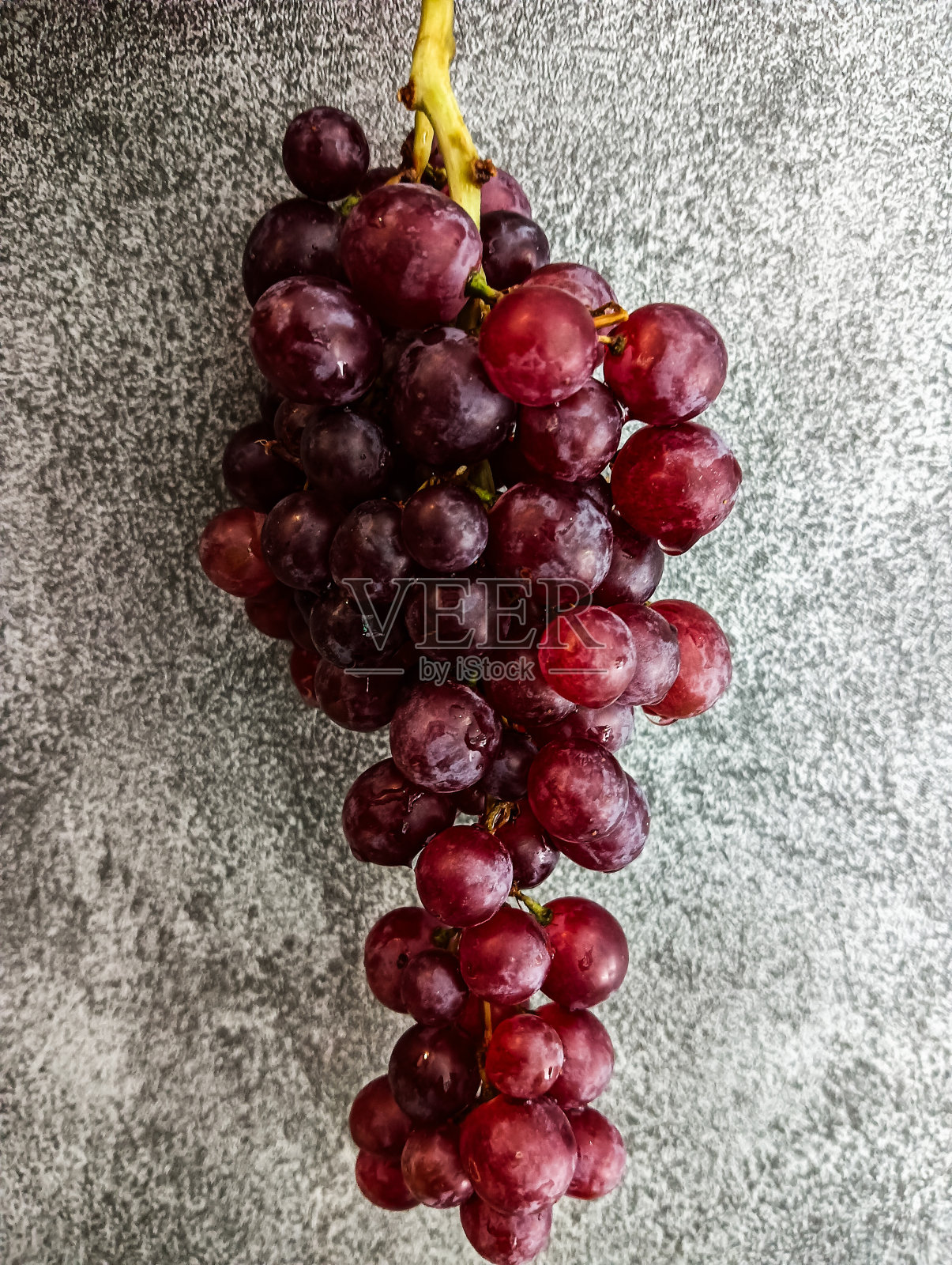 葡萄与灰色恶棍照片摄影图片