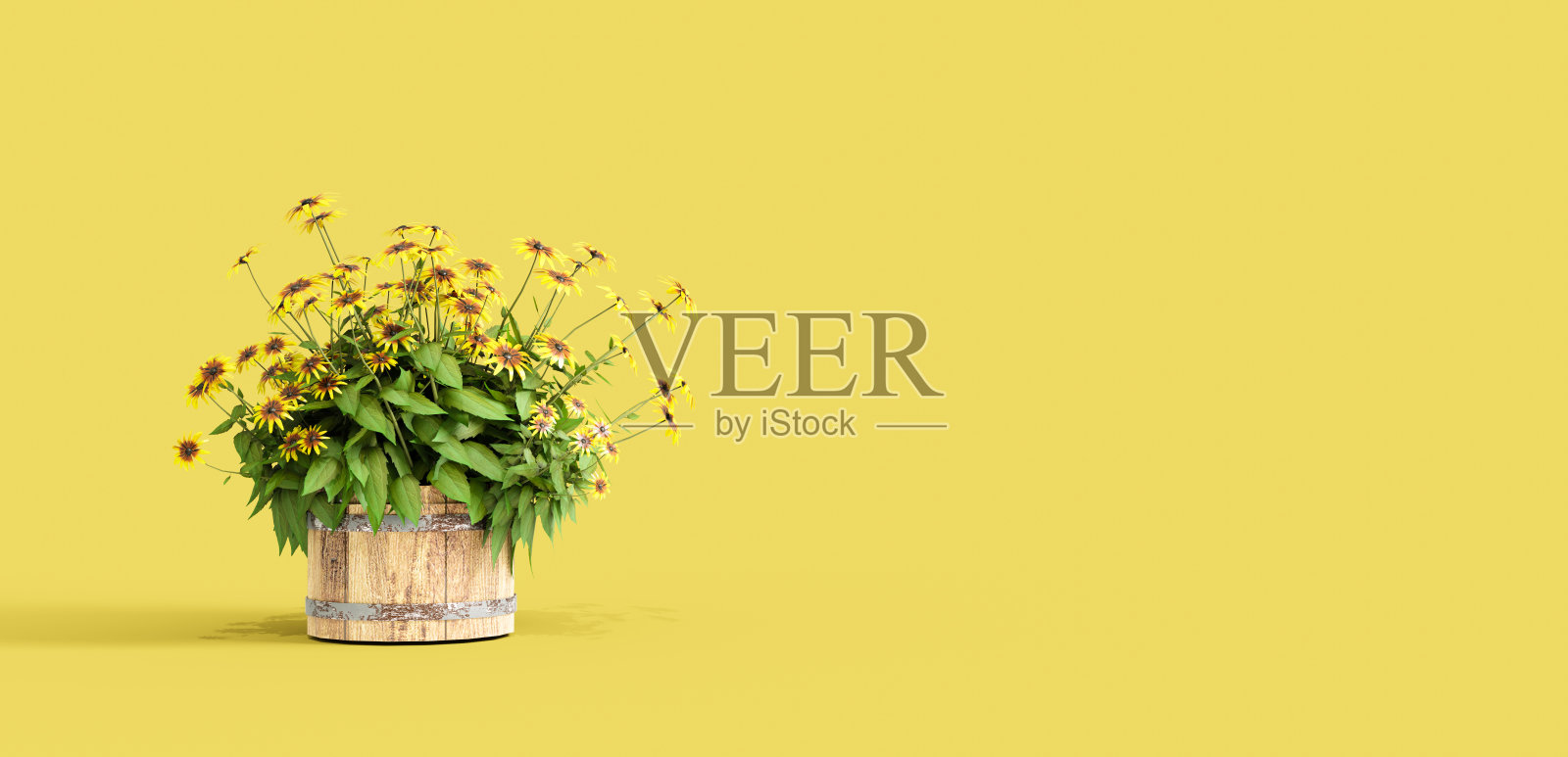 黄色的花在木篮子里照片摄影图片