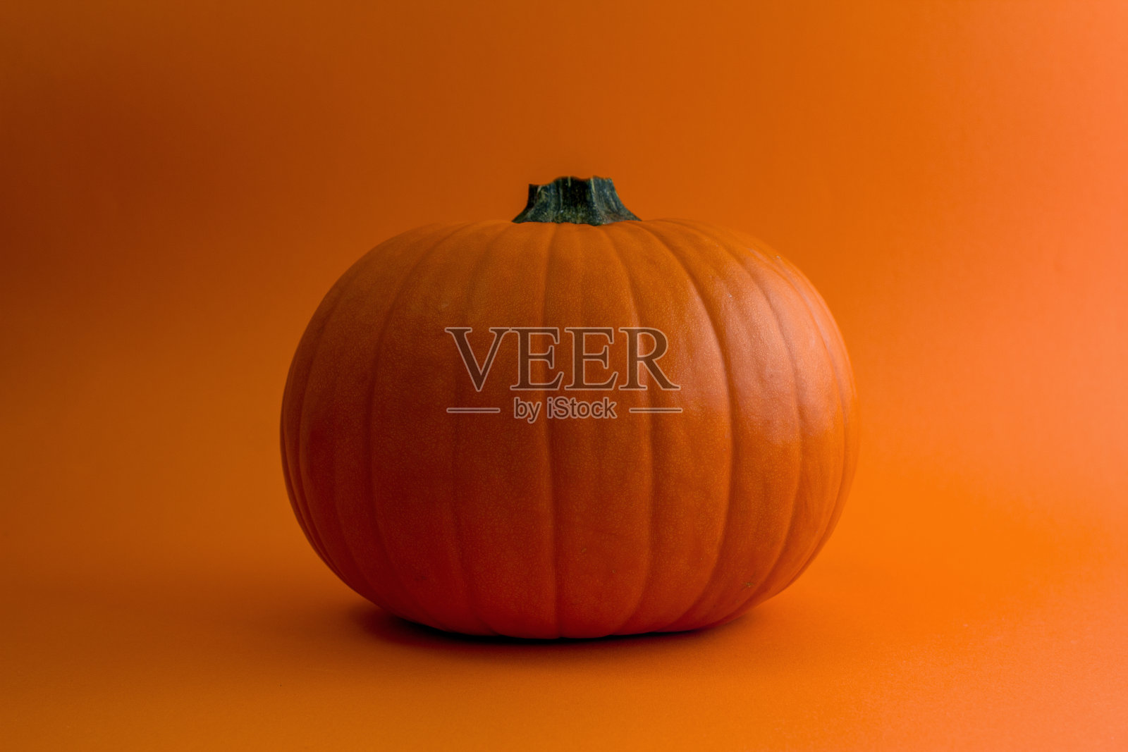 成熟的橙色南瓜在橙色的背景上。照片摄影图片