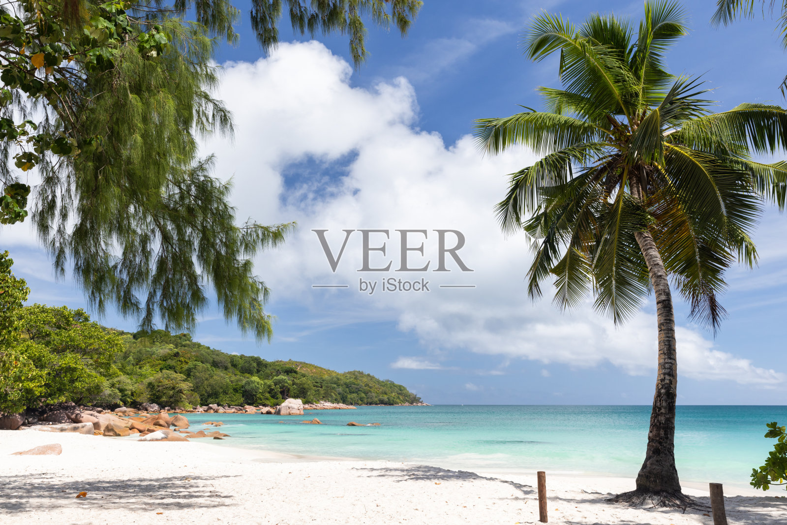 塞舌尔普拉兰岛的安斯拉齐奥海滩。沿海景观照片摄影图片