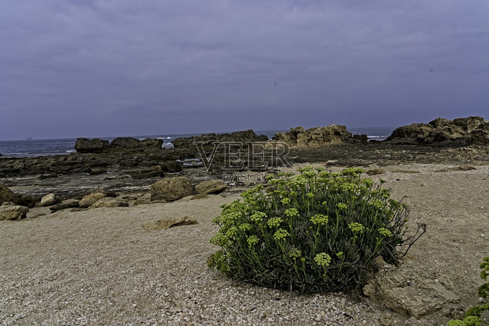 哈博尼姆保护区海岸照片摄影图片