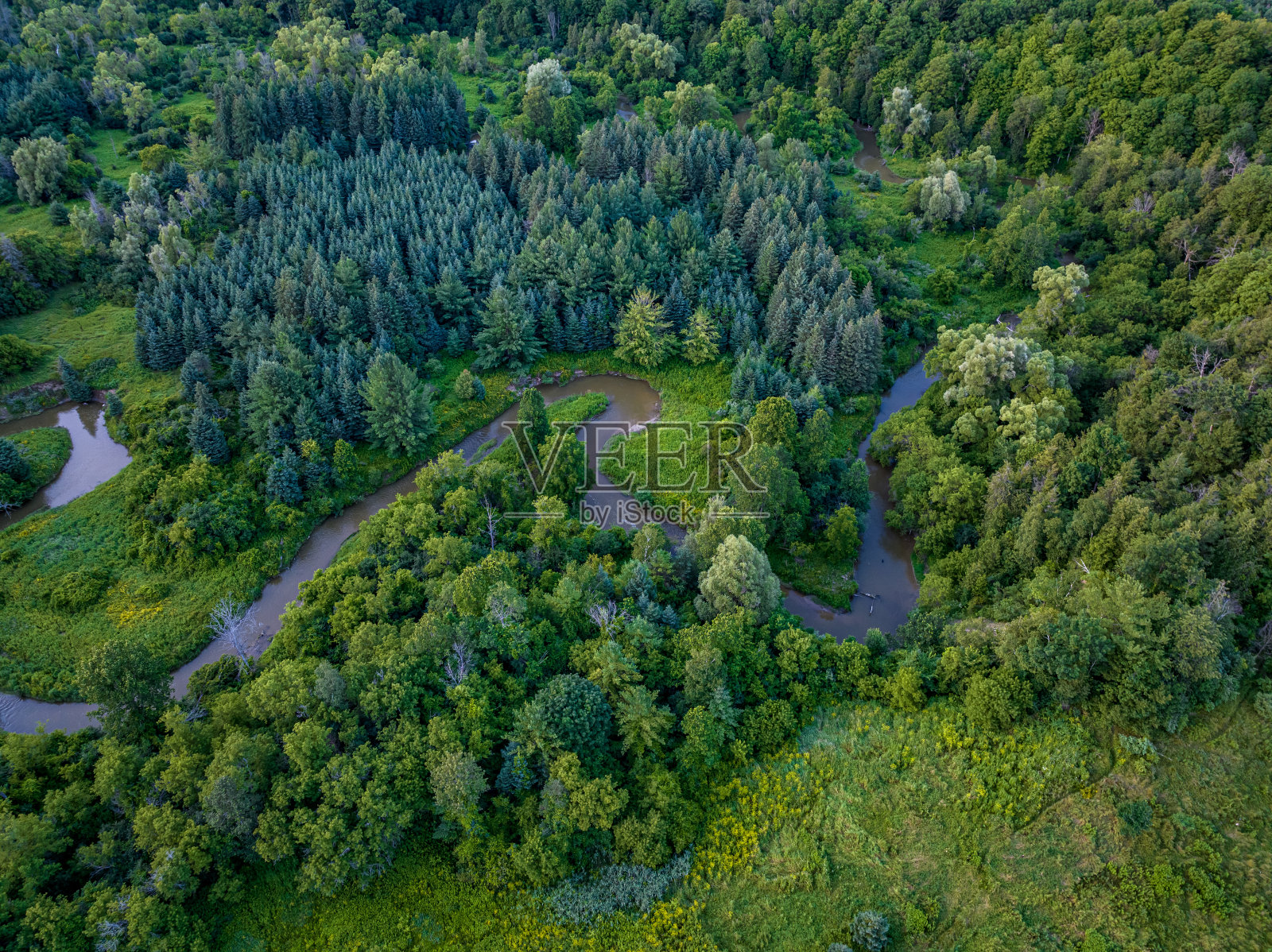 黄昏时分，加拿大沃恩伍德布里奇博伊德保护公园的亨伯河步道和萨伦尼斯桥照片摄影图片