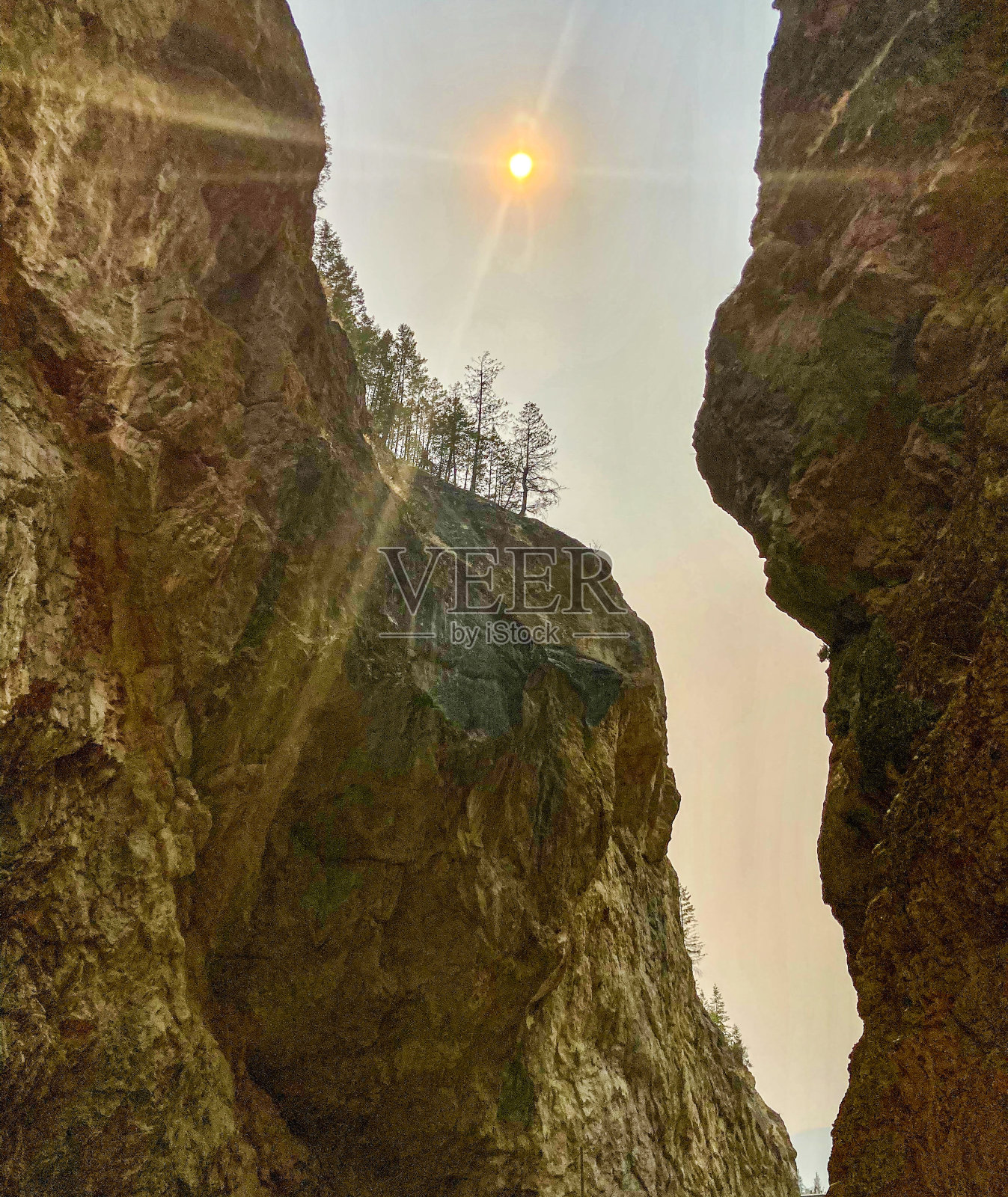 库特尼国家公园入口处的辛克莱峡谷通道。照片摄影图片