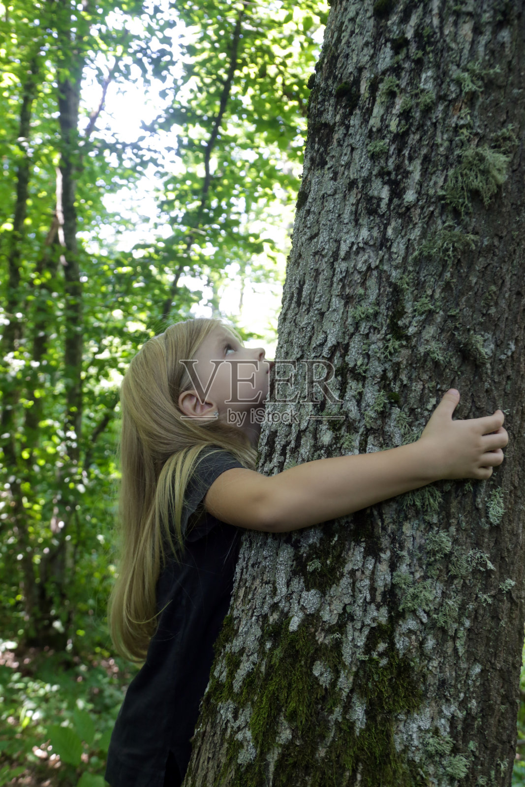 可爱的小女孩抱着树。拥抱和触摸树木为儿童提供丰富的感官体验，减轻压力，提高免疫力，降低血压，加速创伤恢复照片摄影图片