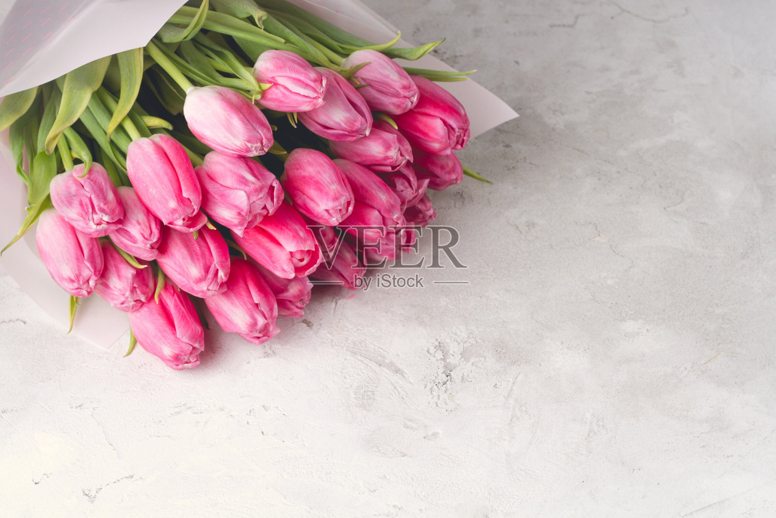 浅色混凝土背景上的粉色郁金香花束照片摄影图片