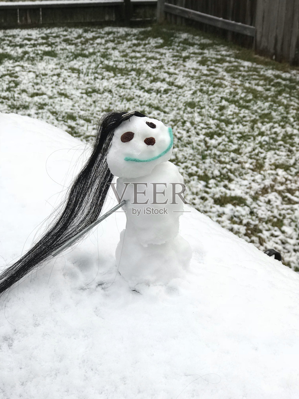 德州雪小鸡照片摄影图片