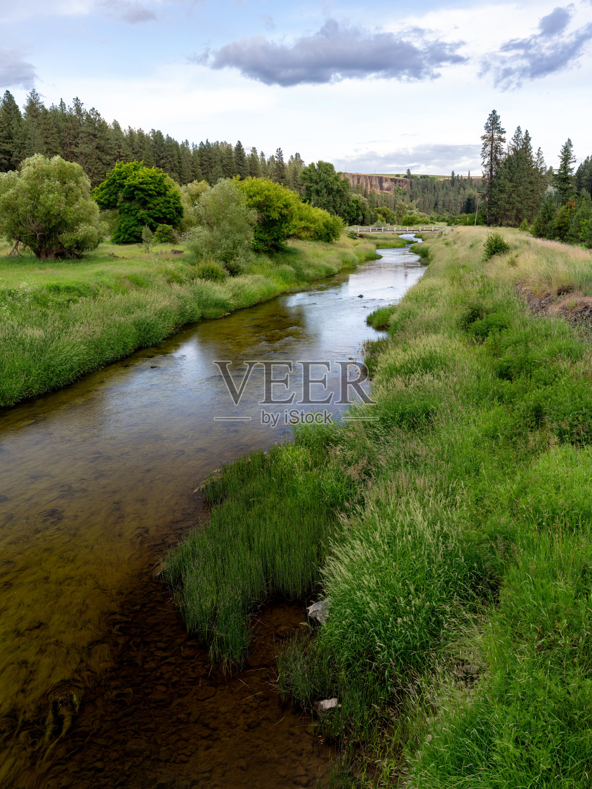 帕卢斯河，河岸长满青草照片摄影图片