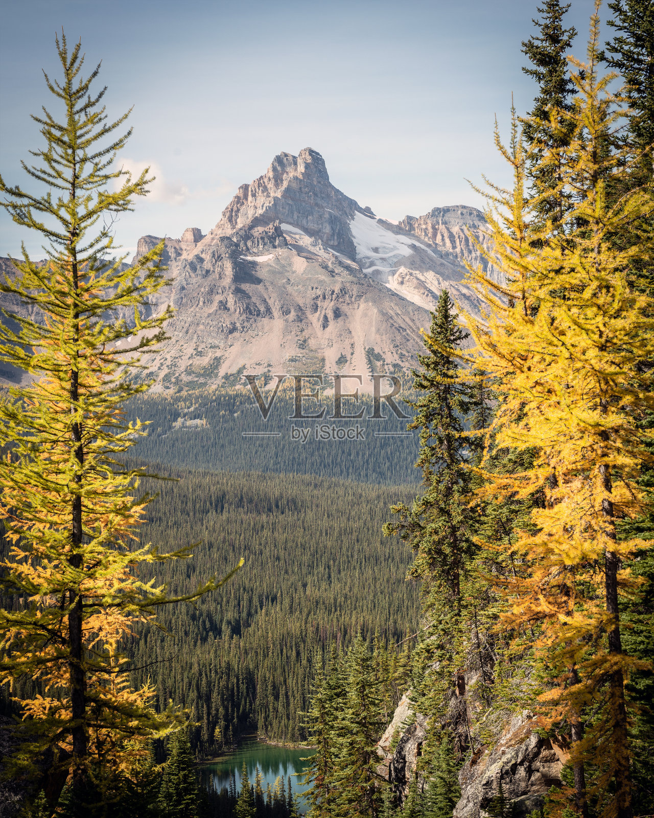加拿大落基山脉景观照片摄影图片