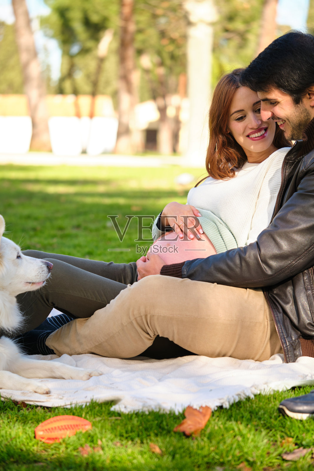 幸福的怀孕夫妇和他们的狗在野餐中拥抱。照片摄影图片