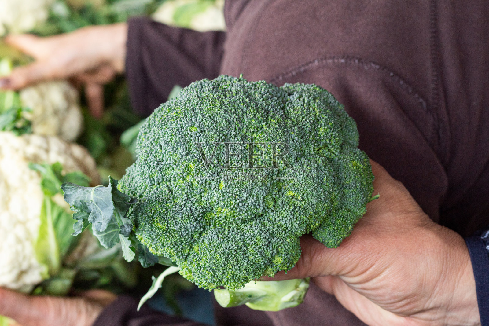 一个人在农贸市场拿着新鲜的西兰花。蔬菜与均衡饮食，素食理念。照片摄影图片