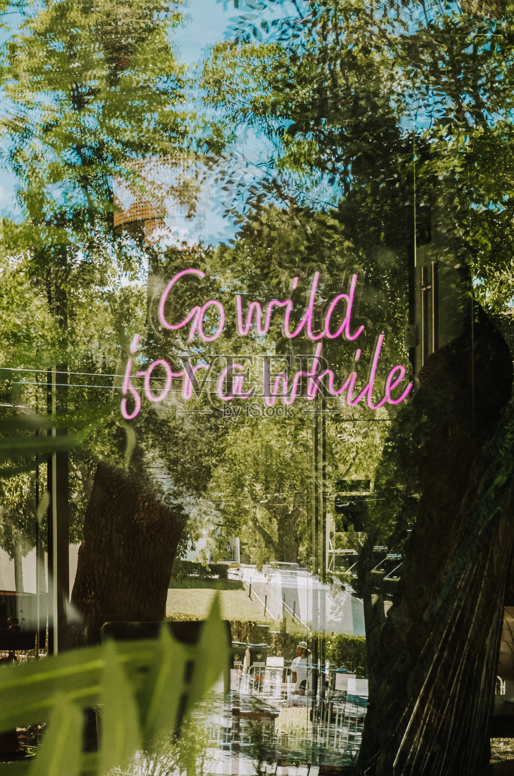 疯狂一段时间，霓虹灯与植被反射照片摄影图片