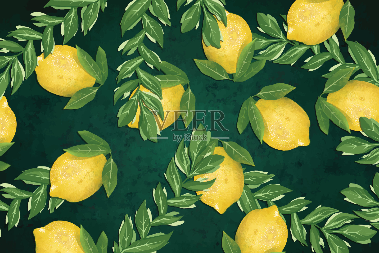 花卉无缝图案和柠檬插画图片素材