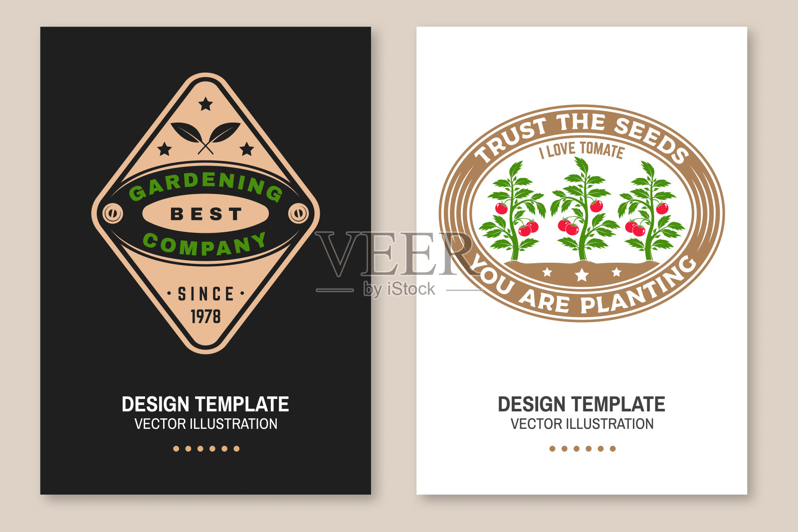 一套园艺和庭院工作服务海报，横幅。矢量插图。海报设计与番茄丛盆栽，盆栽番茄苗和园艺设备剪影。插画图片素材