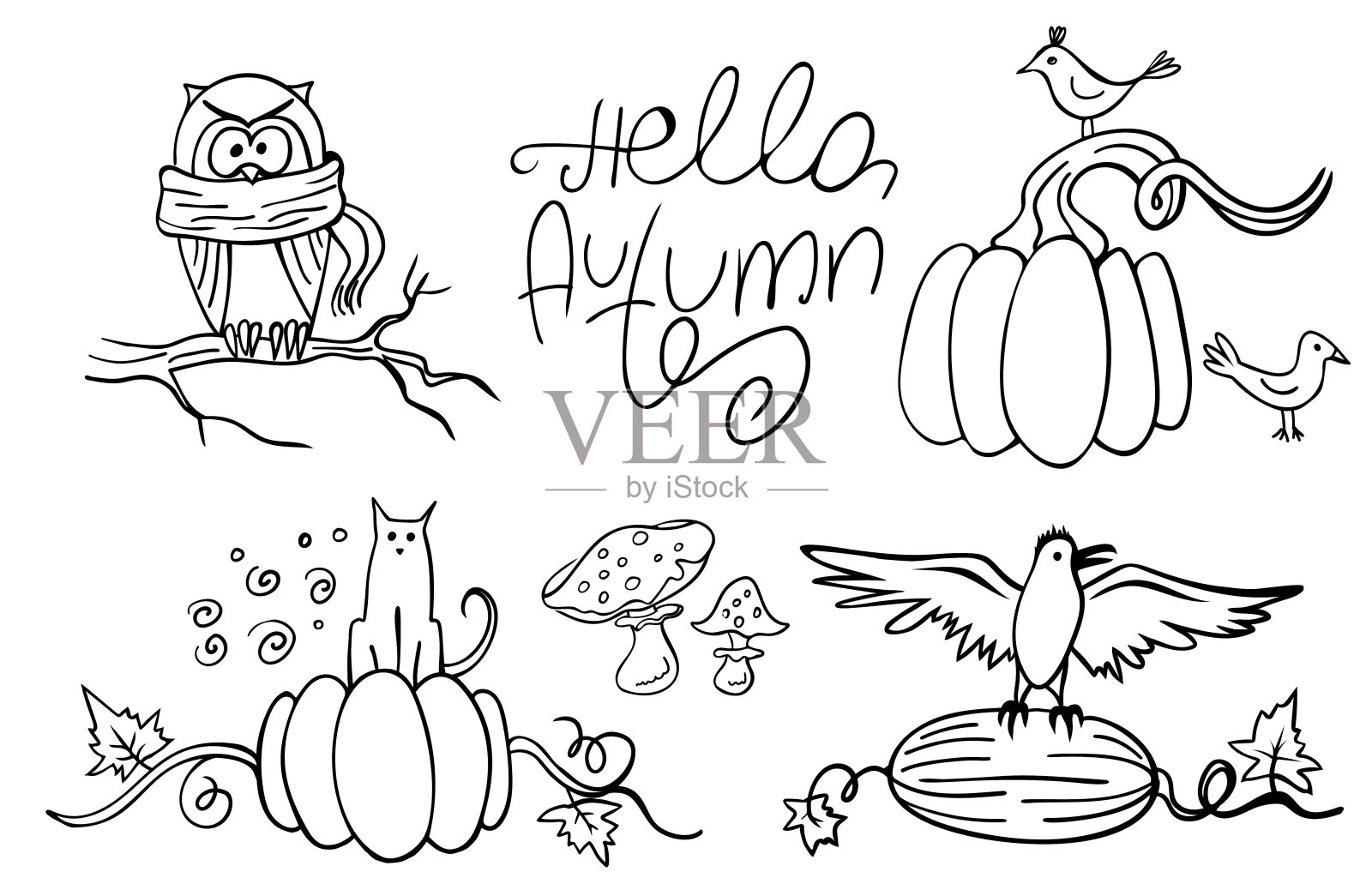 一组涂鸦秋天的动物和南瓜孤立在白色。插画图片素材