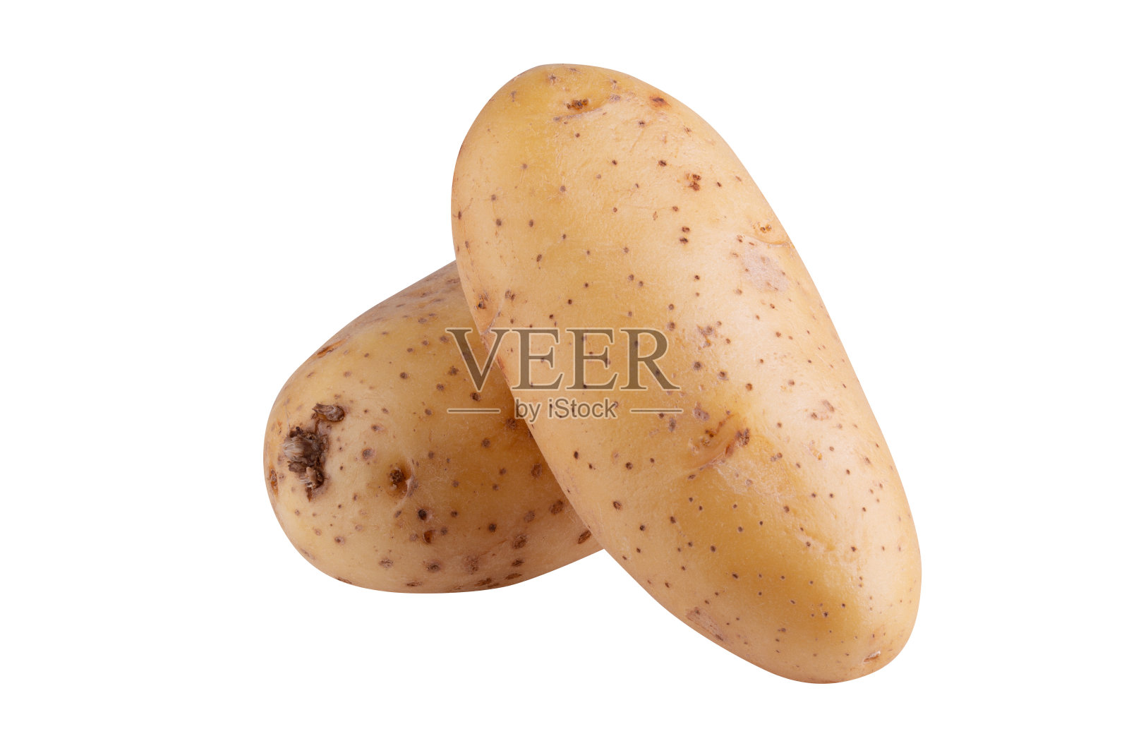 生土豆被隔离在白色背景上。照片摄影图片
