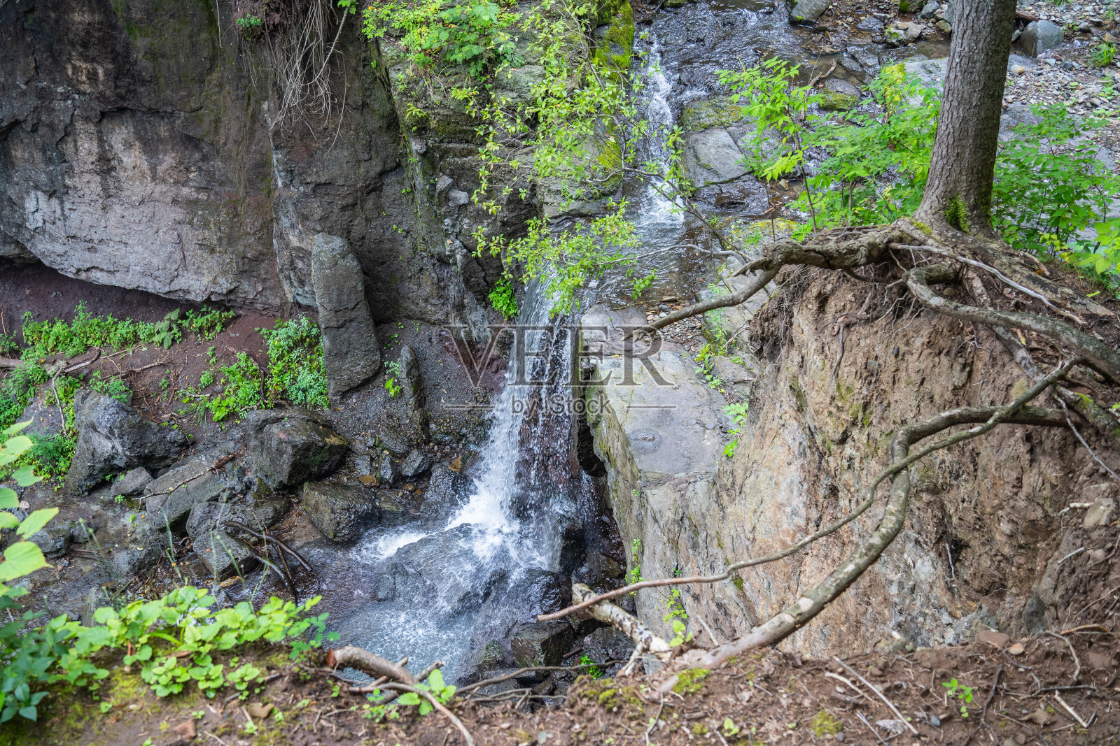 森林中央瀑布的特写。瀑布倾泻在山岩上。森林中的瀑布。照片摄影图片