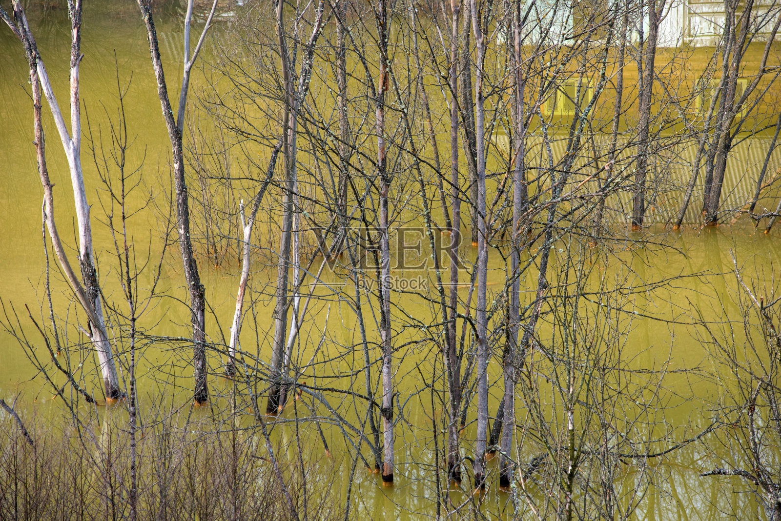 污染环境的铜矿绿色废水。罗马尼亚的Geamana滗水湖照片摄影图片