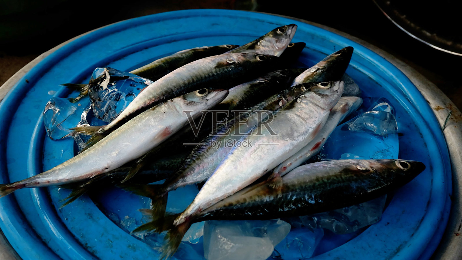 越南会安的本地新鲜海鲜市场。照片摄影图片
