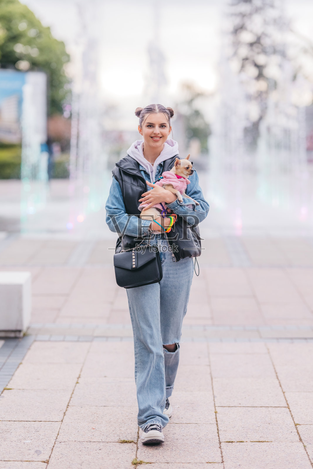 漂亮的年轻女子和可爱的小狗吉娃娃照片摄影图片