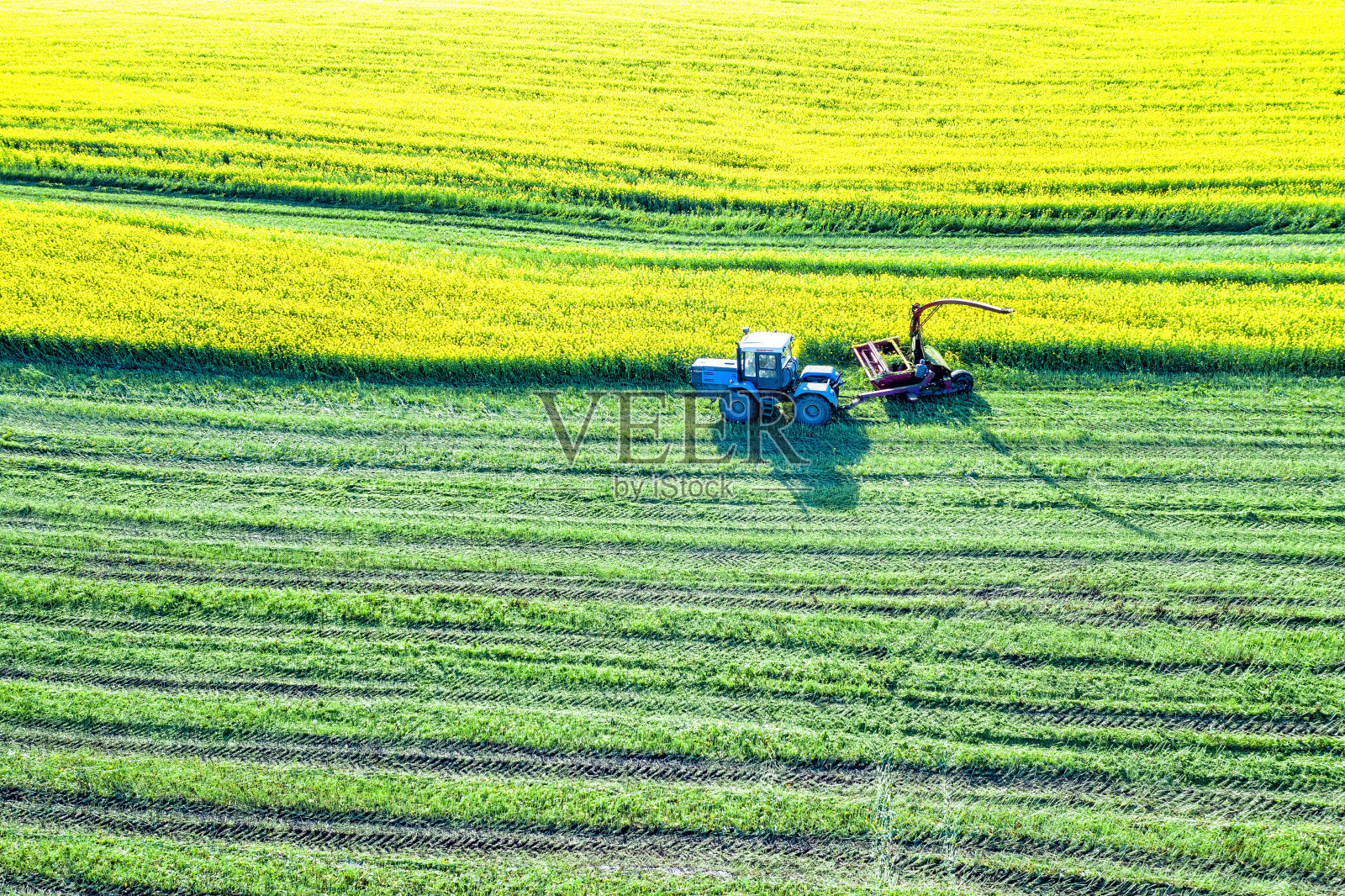 油菜籽收获期间的农业机械照片摄影图片