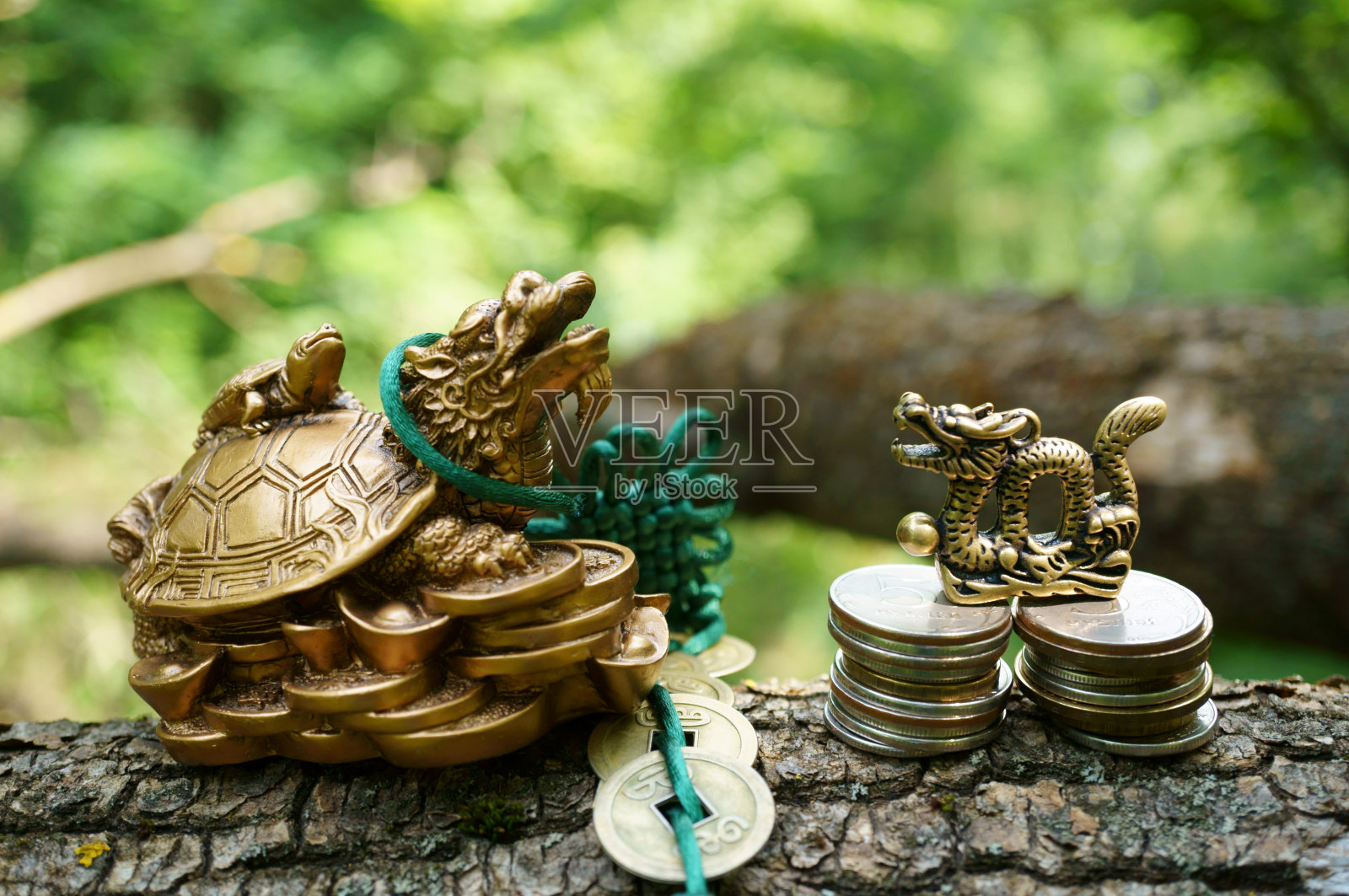 龟龙铜像。照片摄影图片