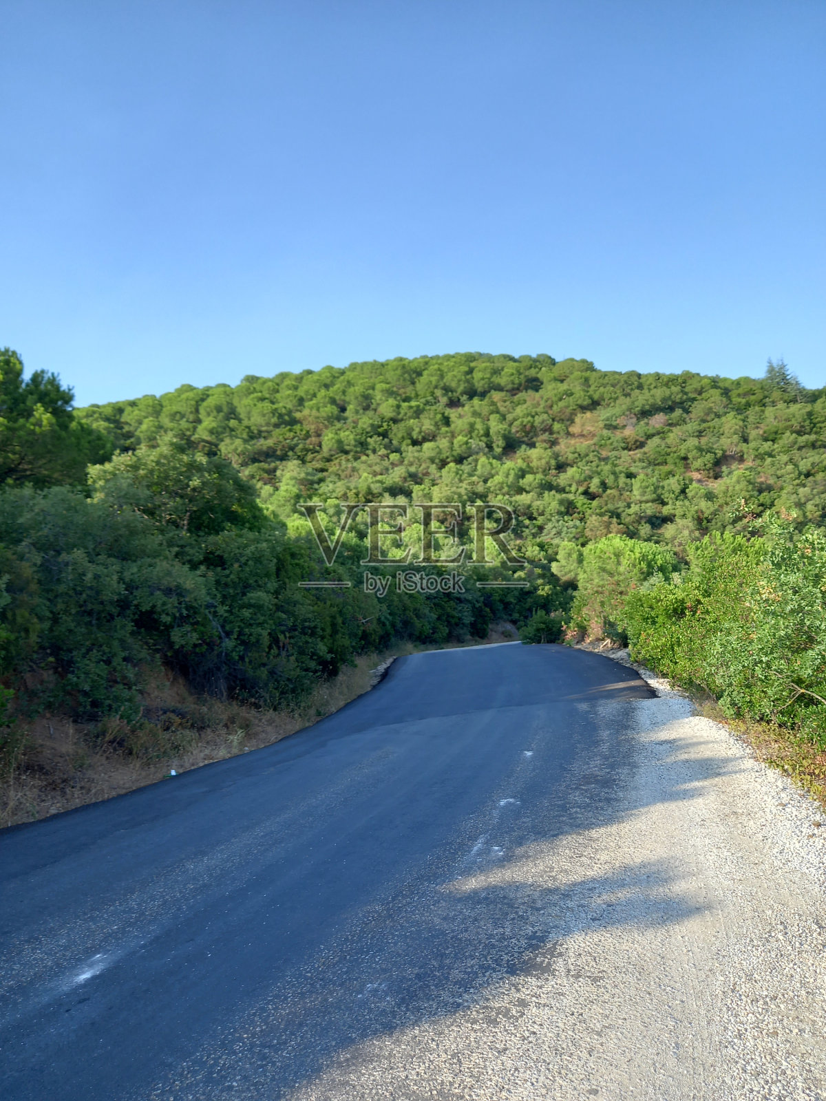 奥曼和丹尼斯·布鲁特照片摄影图片